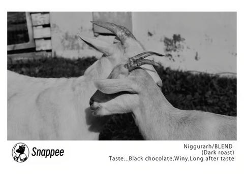 Snappee Coffee Roaster / Niggurath Blend