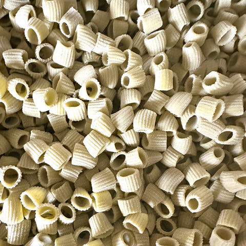 MITOSAYA ローリエ×リガトーニメッツィ