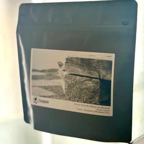 Snappee Coffee Roaster / ケニア ンダロイニ ウォッシュ Light roast 浅煎り