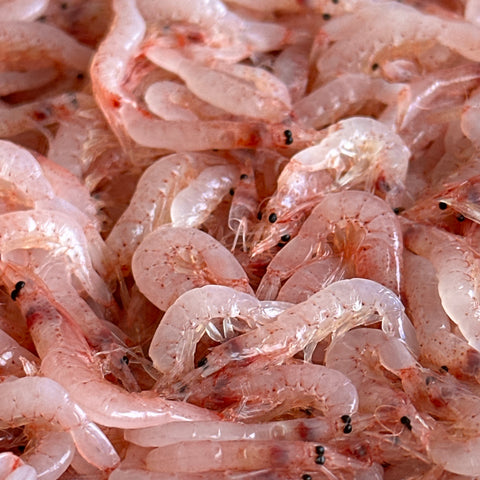 Mamma Grazie! 母の日ギフトセット2026